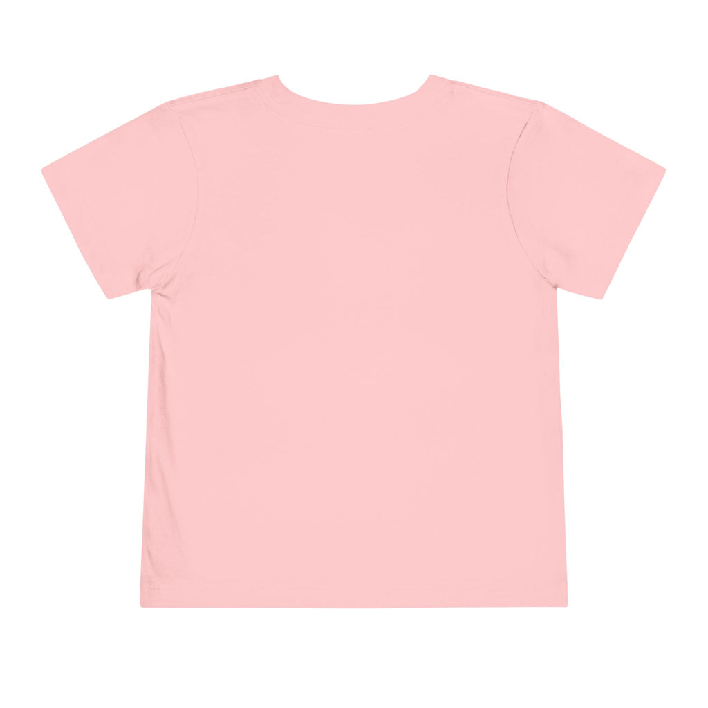 Princess Shirt for Girls, Pink Toddler Graphic Tee, Crown Birthday Outfit, Little Princess Gift, Cute Girls T-Shirt
